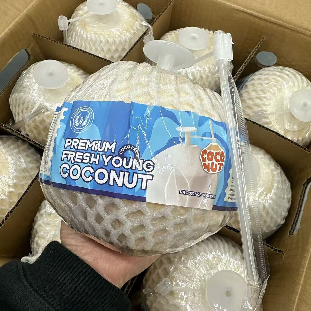 Coco Press Premium Easy-Open Young Coconuts (Large) – Box of 9 - Image 3