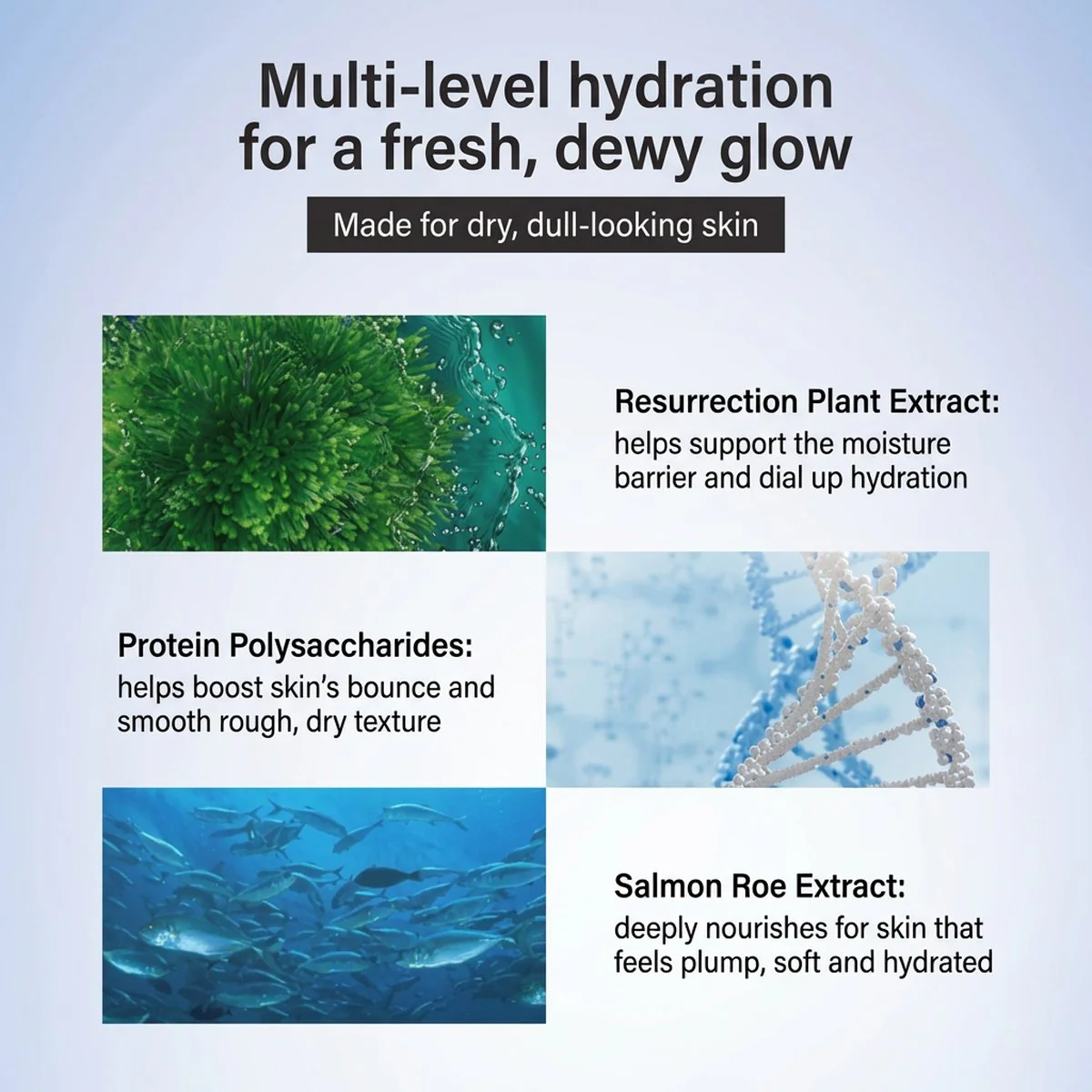Cocochi AG Ultimate Hydrating Anti-Glycation Marine Mask - Image 3