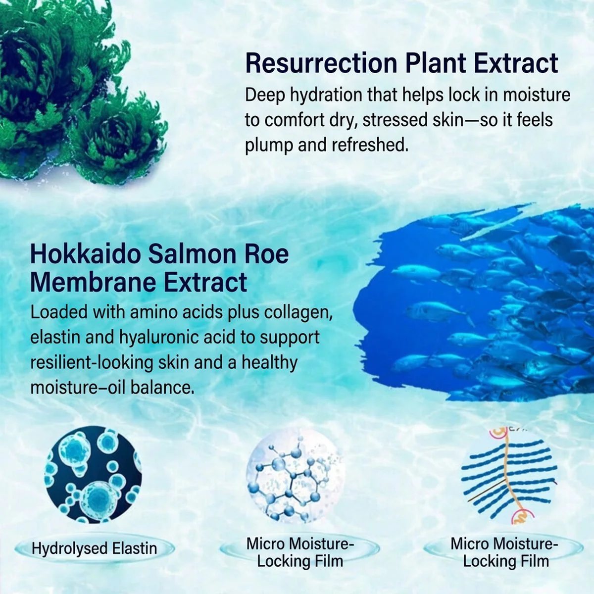 Cocochi AG Ultimate Hydrating Anti-Glycation Marine Mask - Image 4