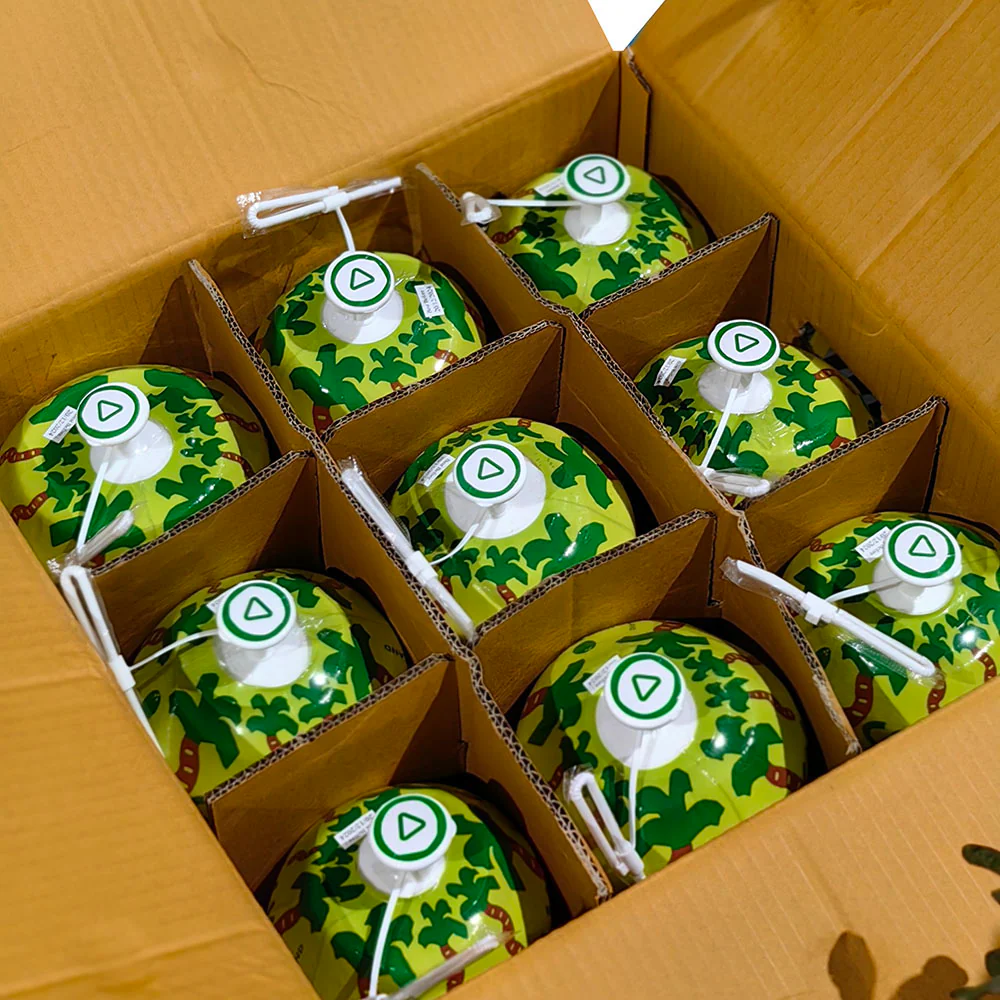 Cocoplay Easy Open Young Coconuts - Box of 9 - Image 3