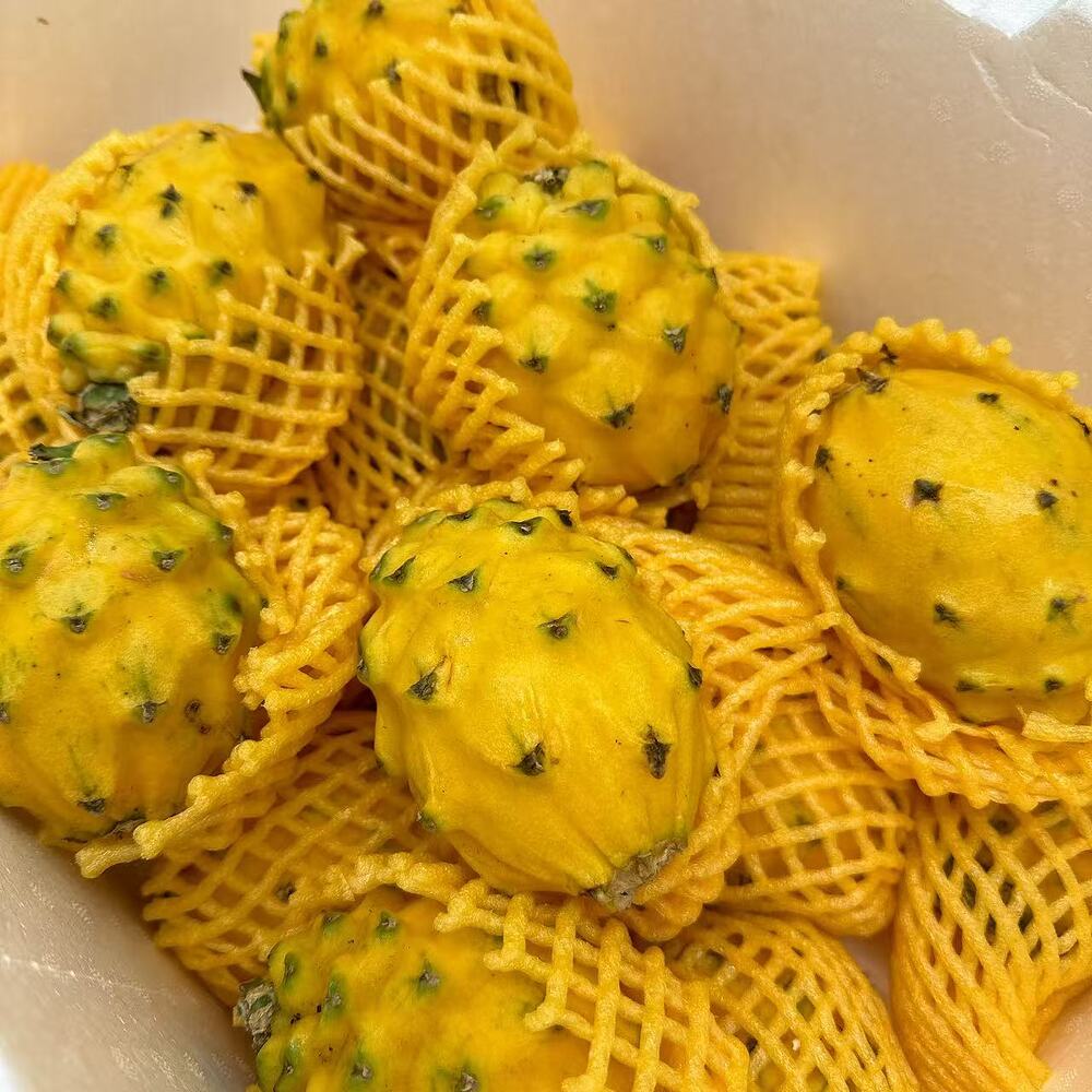 Colombian Yellow Dragon Fruit - 1 Piece (250g) - Image 2
