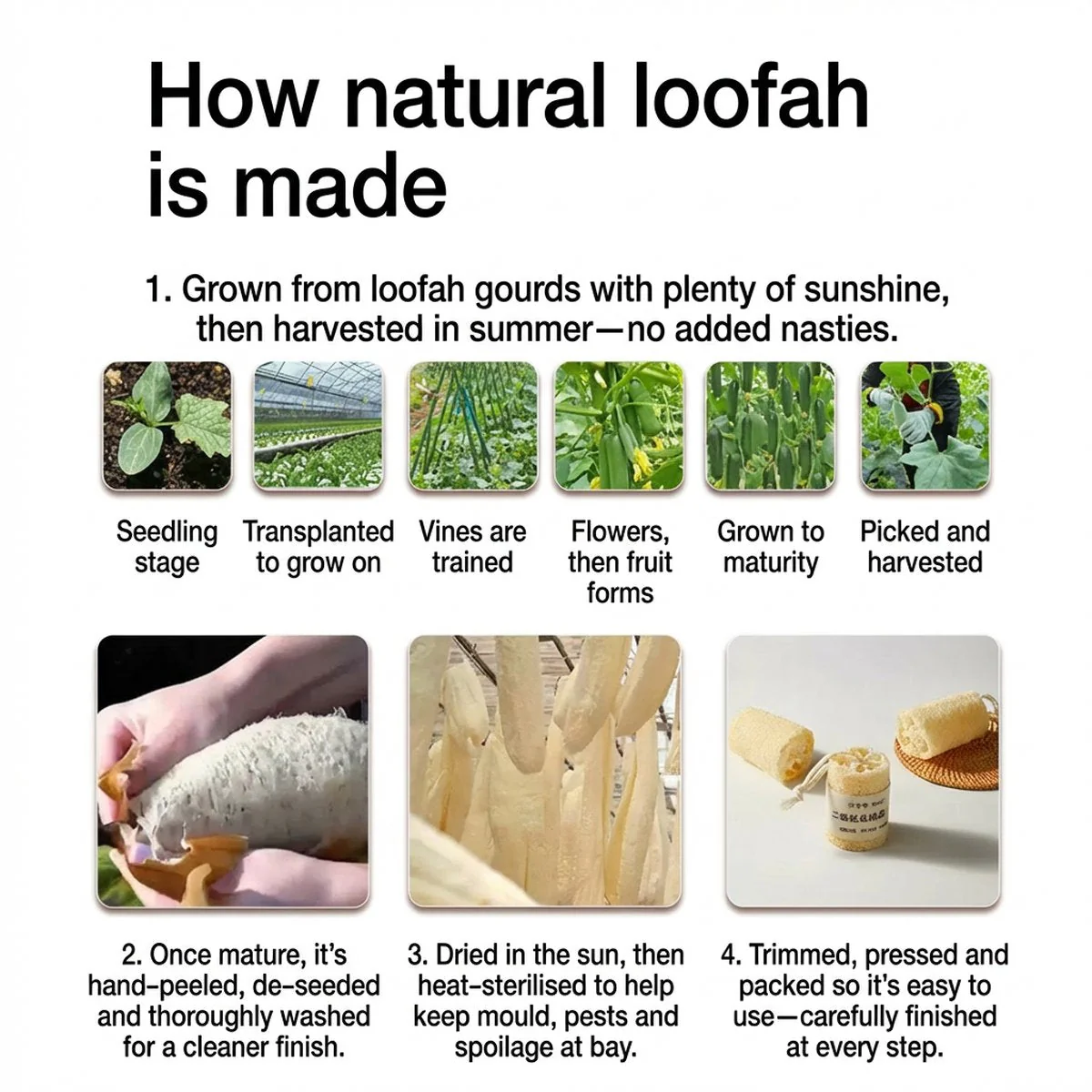 Cooker King Natural Loofah Scouring Pads 8 cm – Pack of 3 / Loofah Sponge Scrubber for Pots & Pans - Image 2