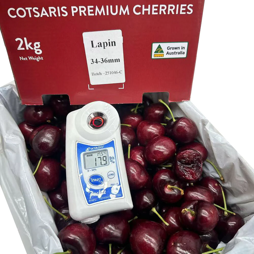 Cotsaris Lapin Premium Cherries 34–36mm Gift Box 2kg - Image 2