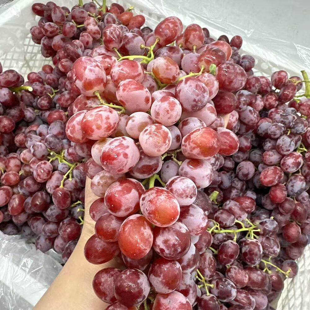 Crimson Seedless Grapes 8kg Box - Image 2