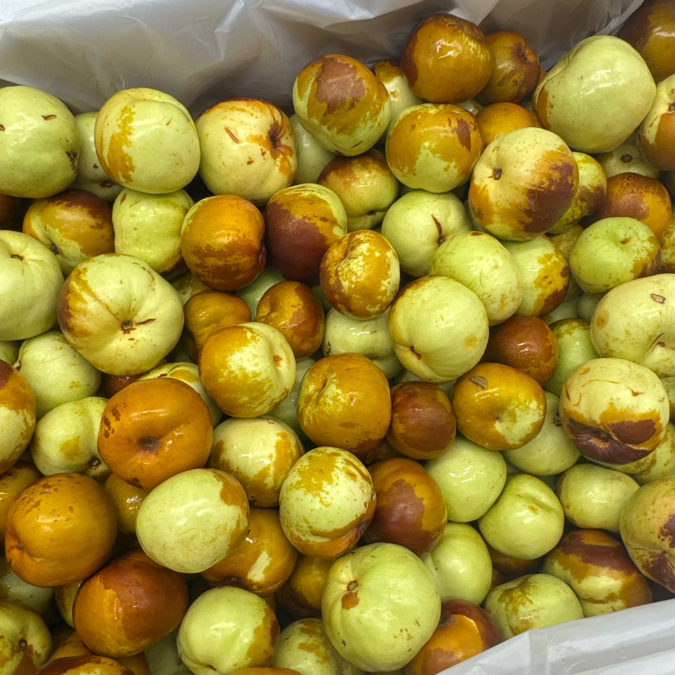 Crisp Sweet Winter Jujubes - 500g - Image 2