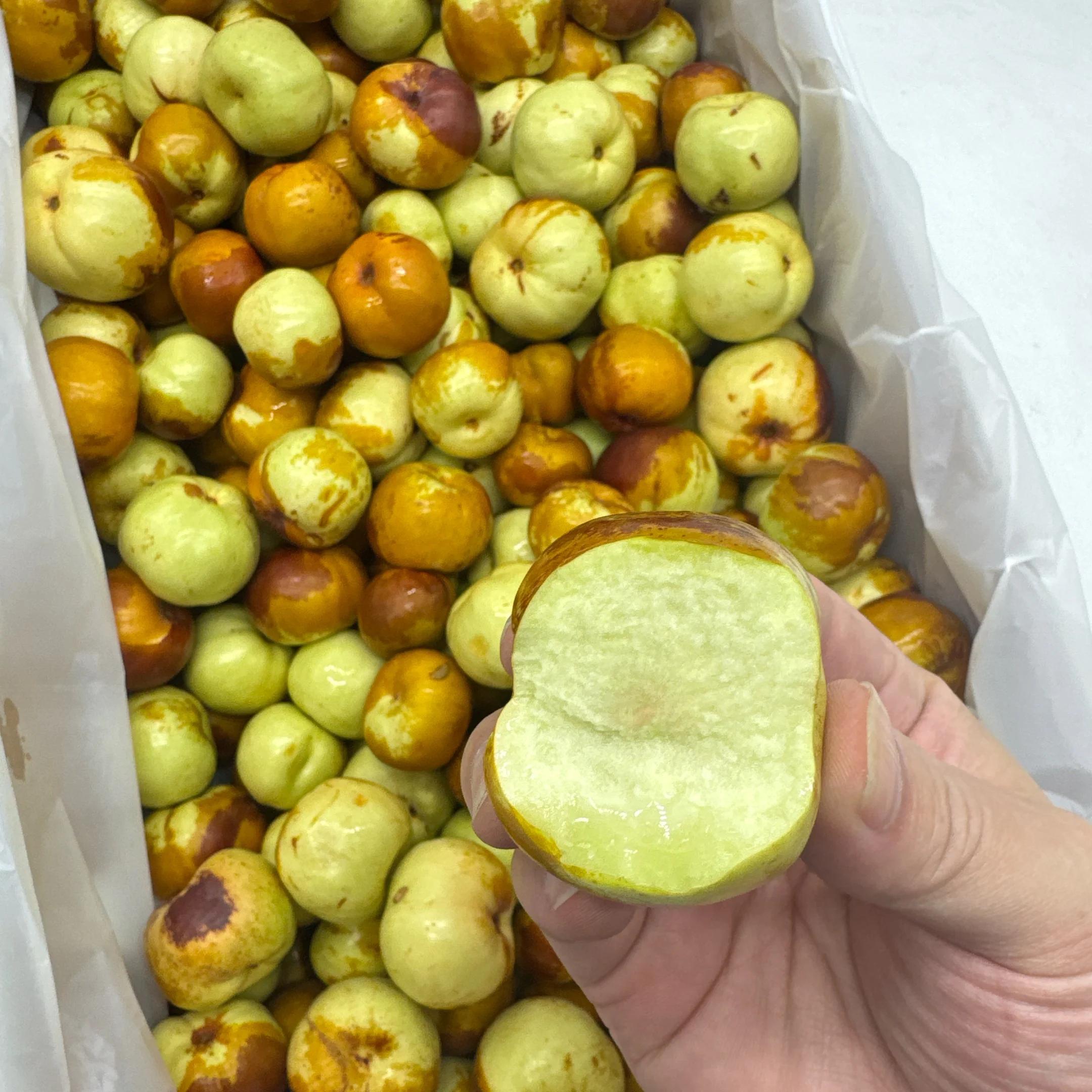 Crisp Sweet Winter Jujubes - 500g - Image 3