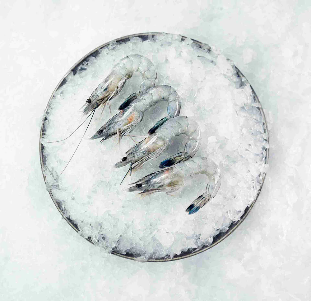 Cristal Blue Frozen Paradise Shrimp Sashimi Grade Gift Box - Size 31/40, 1kg - Image 3