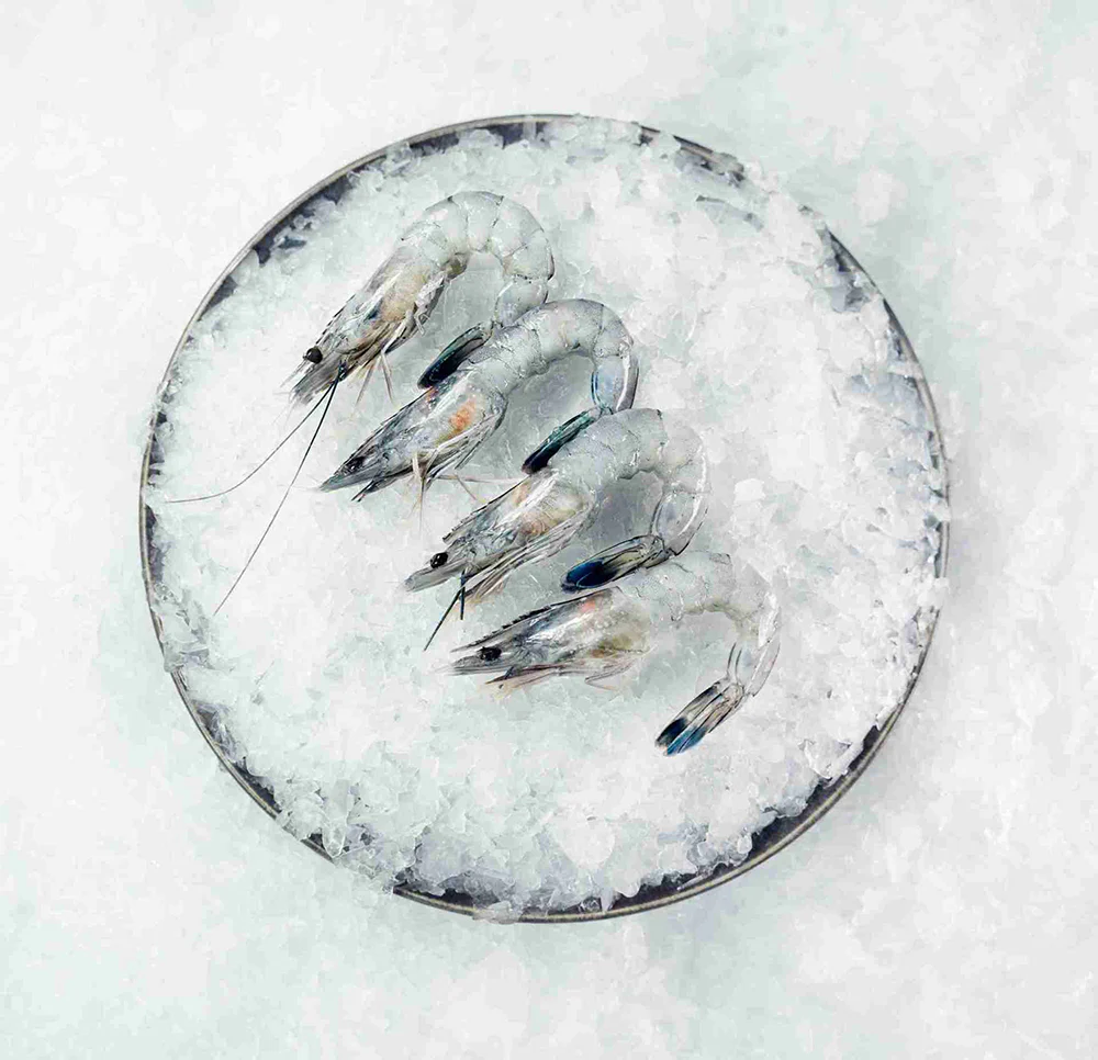 Cristal Blue Frozen Paradise Shrimp Size 26-30 Sashimi Grade Gift Box - 1kg - Image 3