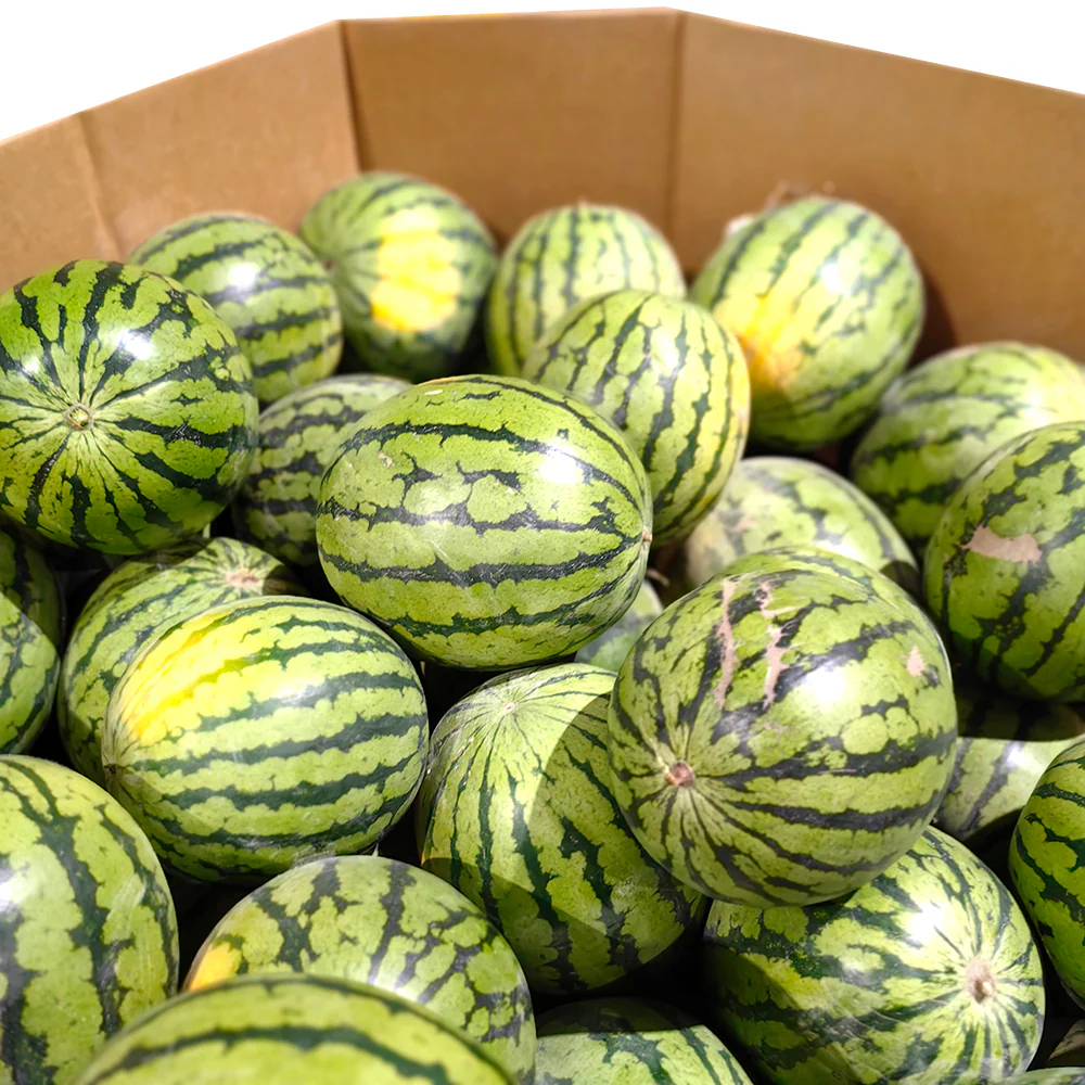 Crystal Sugar Watermelon - 5kg - Image 2