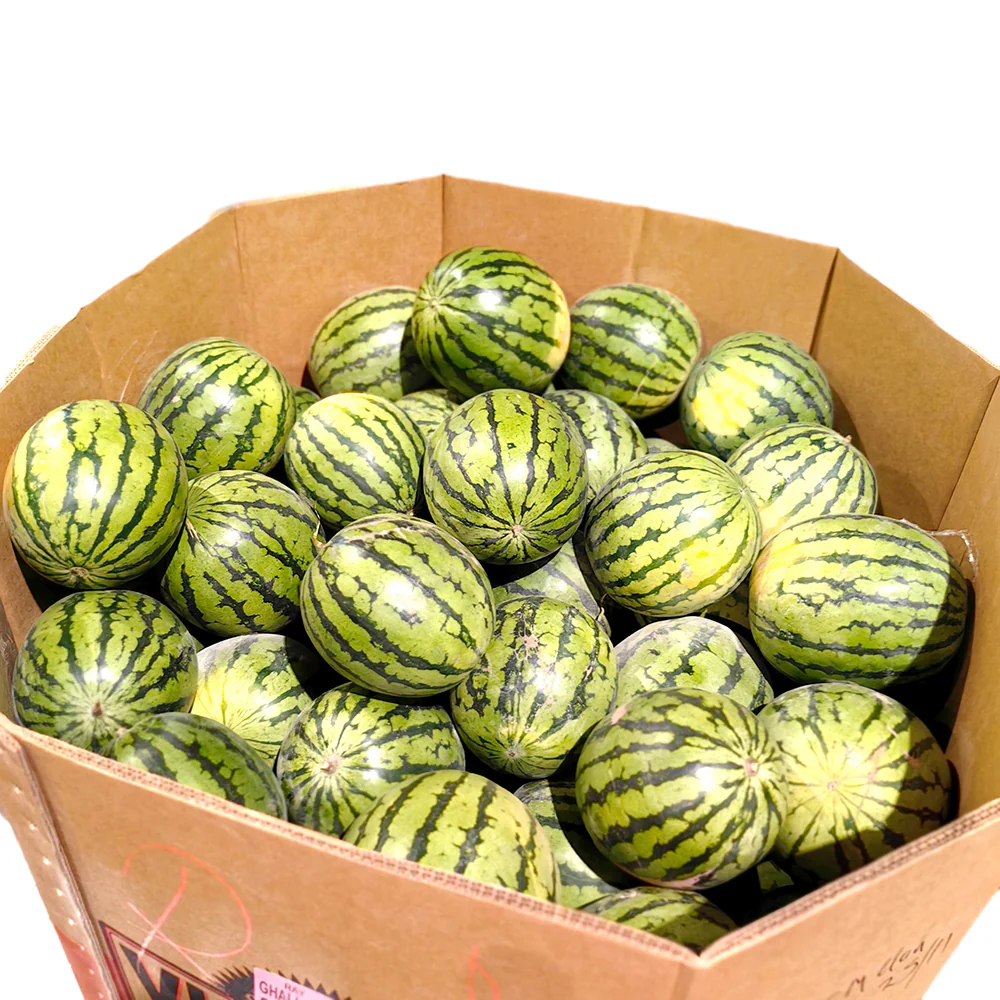 Crystal Sugar Watermelon - 5kg - Image 3