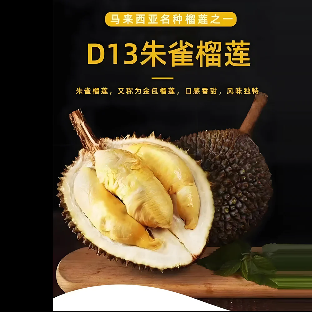 D13 Zhuque 'Little Black Thorn' Golden Pillow Durian - 0.8kg - Image 4