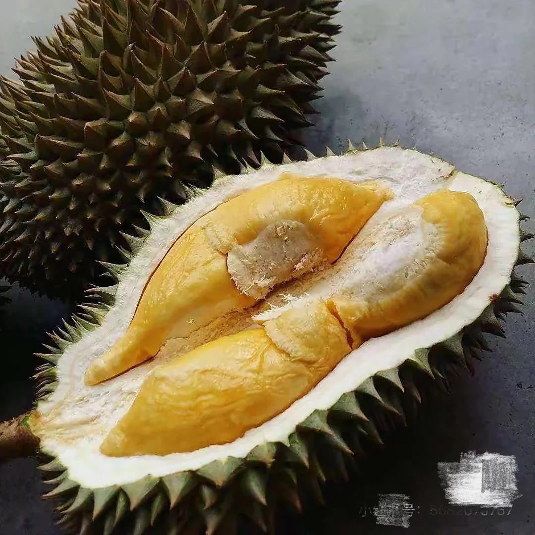 D163 Gourd Durian 3kg - Image 2