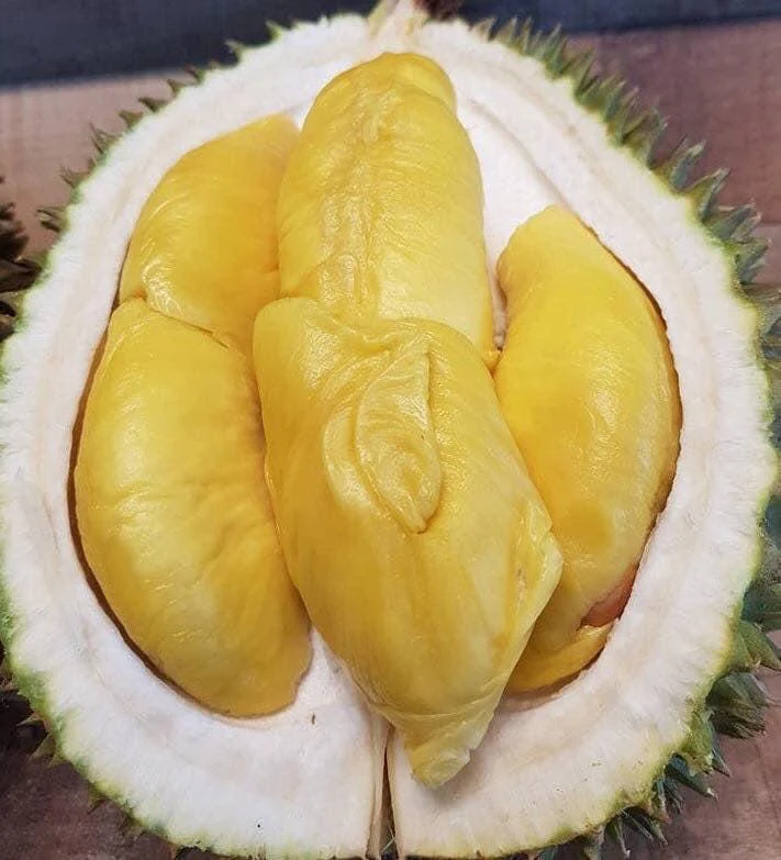 D197 Premium Malaysian Musang King Durian - 1.4kg Each - Image 5