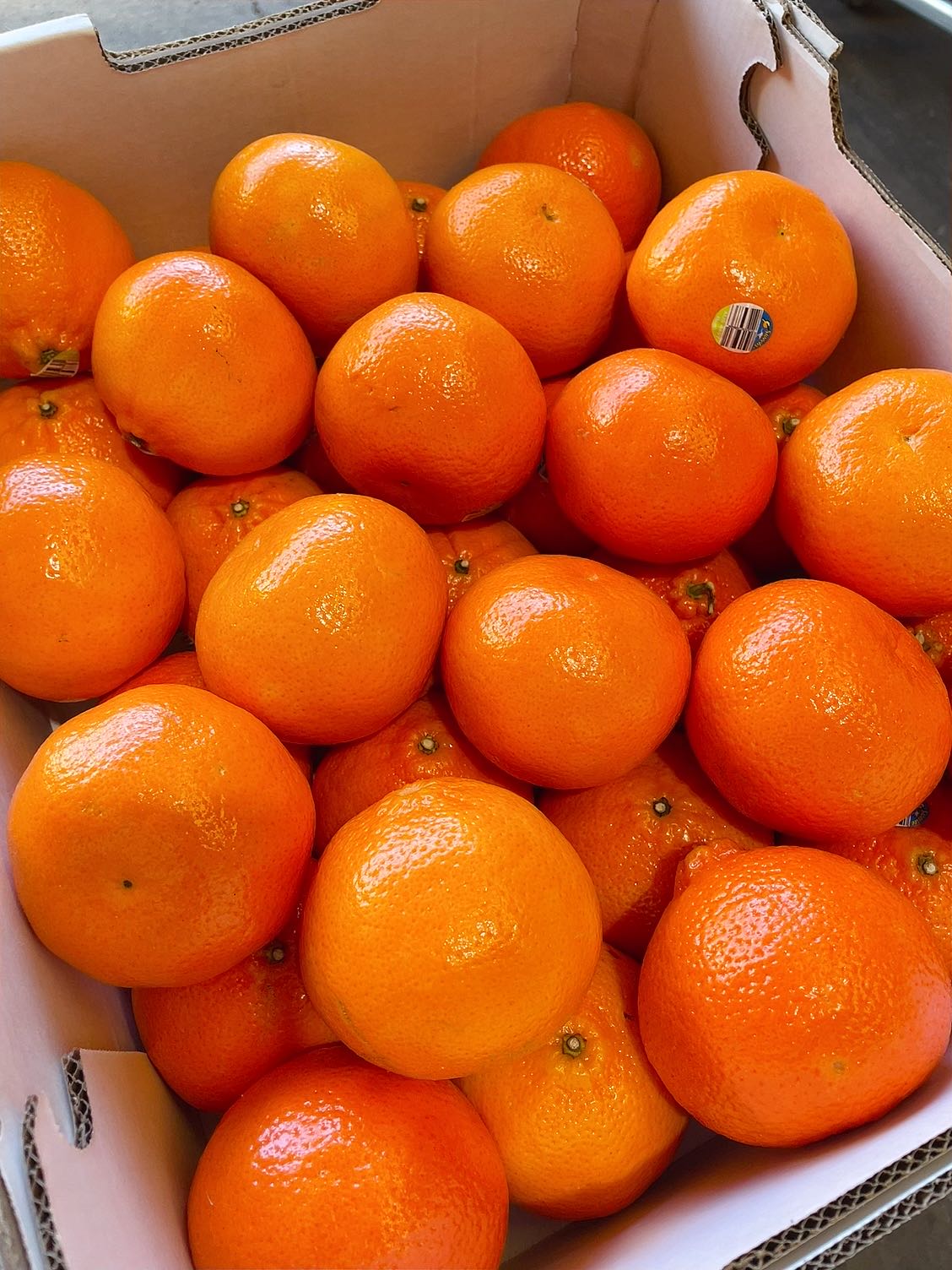 Daisy Super Sweet Australian Mandarins - 1.2kg - Image 3