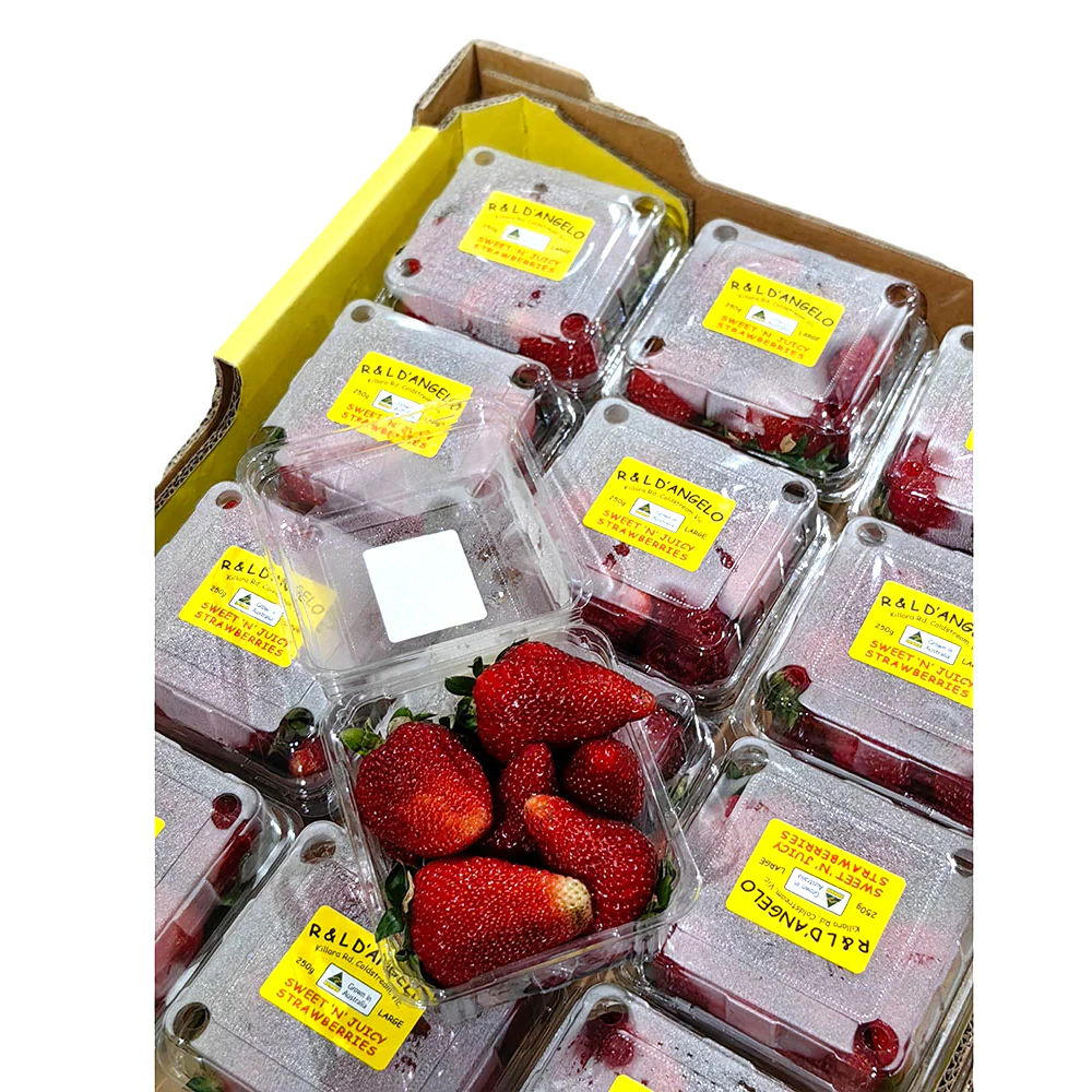 D'Angelo Extra Large Sweet Strawberries - 250g - Image 2