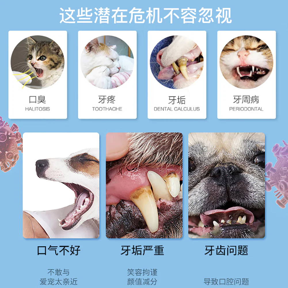 Dental Care Dog Teeth and Gum Health Kit - Image 4