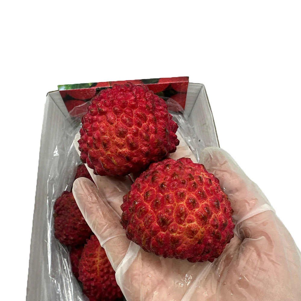 Dinosaur Egg Lychee King Premium Gift Box 1kg