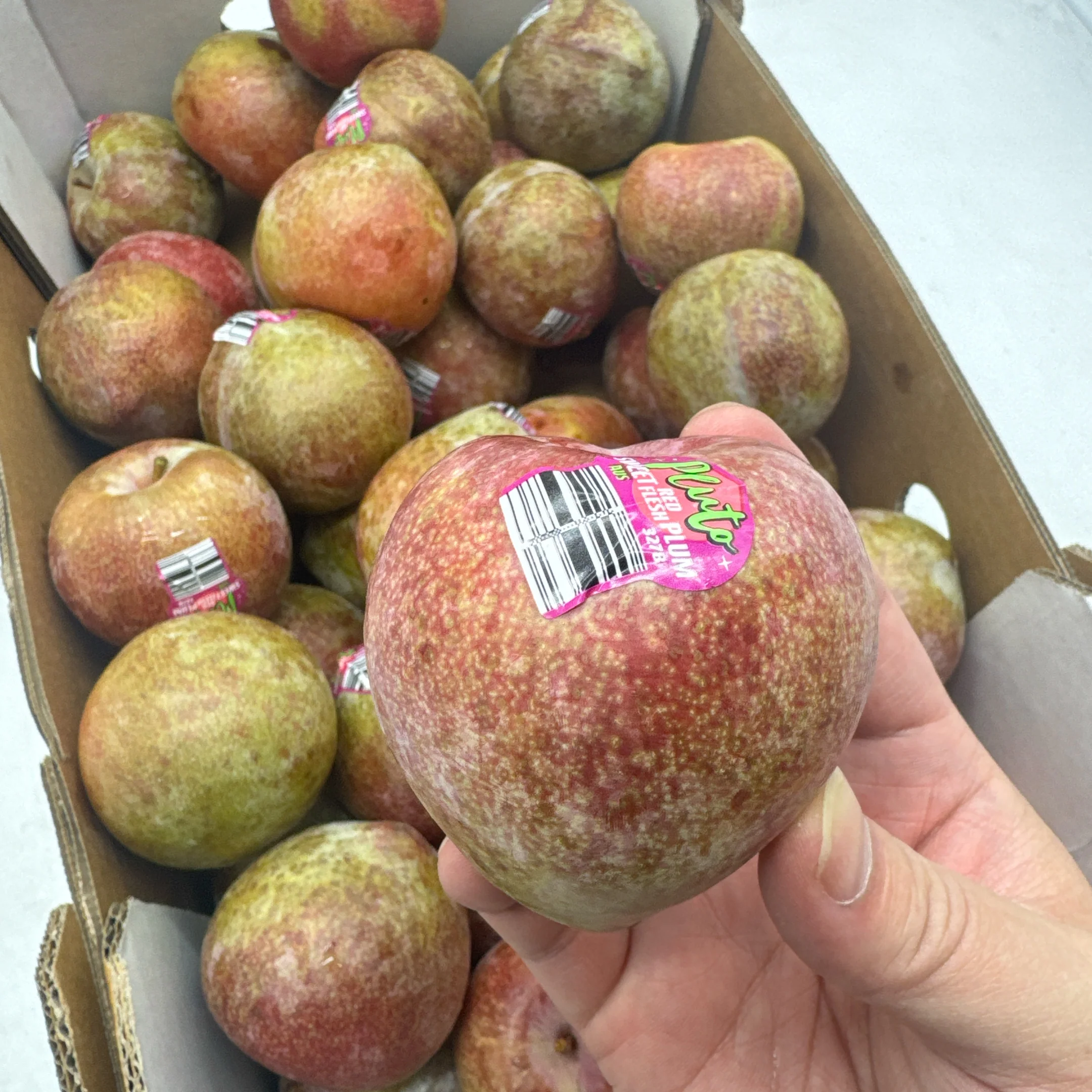 Pluto Sweet Red Flesh Plums - 1kg - Image 2