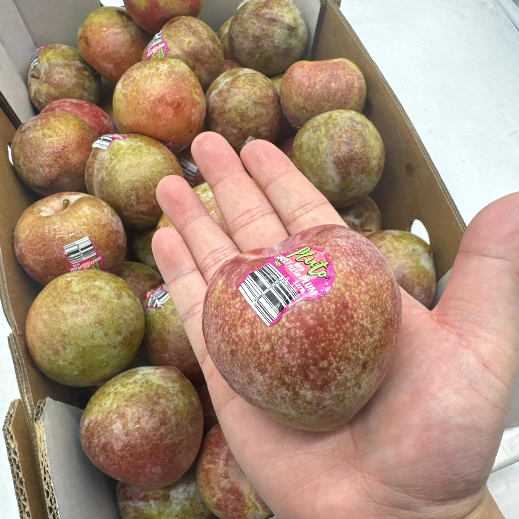 Pluto Sweet Red Flesh Plums - 1kg - Image 3