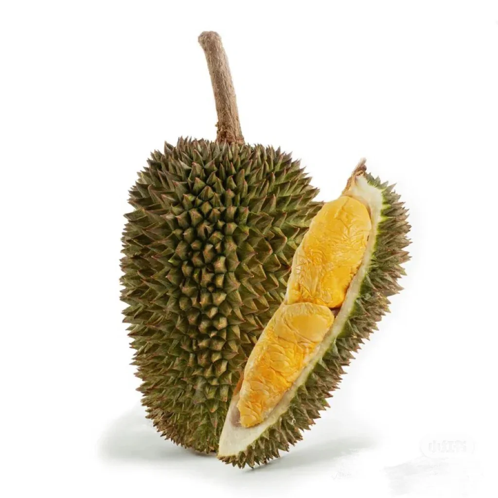 Dking Frozen Gourd Durian D163 - 2.6kg Each