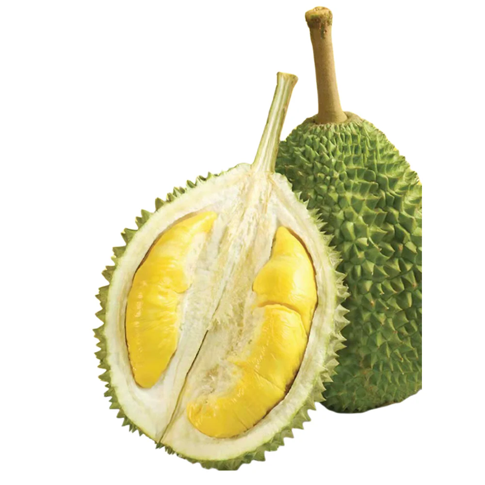 Dking Premium Musang King Durian - 2.4kg - Image 3