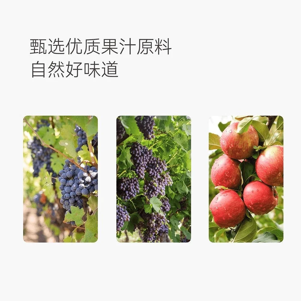 DL 100% Grape Fruit Juice Blend - 1L x 6 Bottles - Image 4