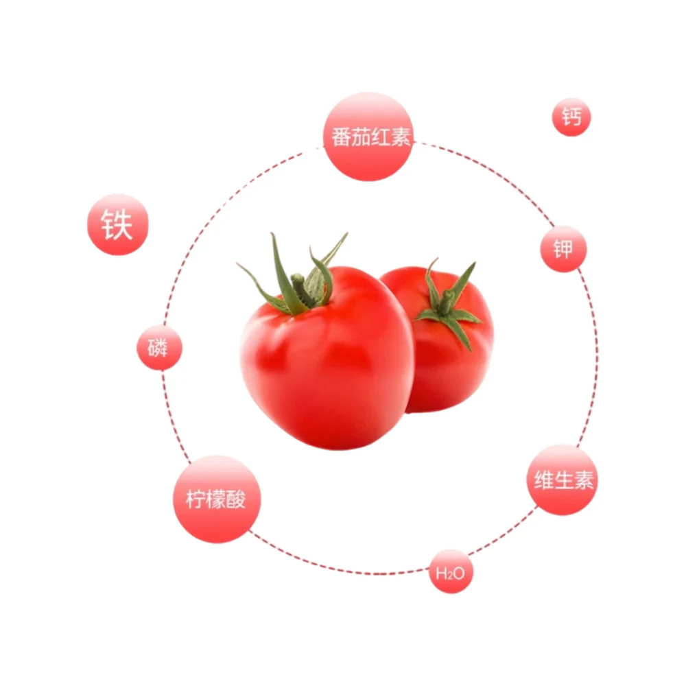 DL 100% Tomato Fruit & Vegetable Juice Blend - 1L x 6 Bottles - Image 3