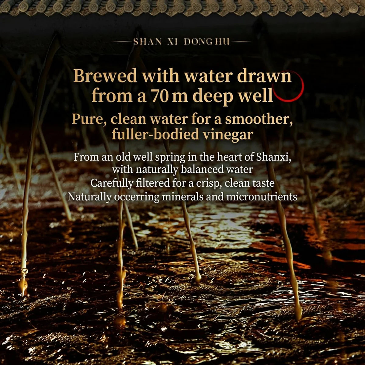 Donghu Gold Label Shanxi Aged Vinegar (3-Year Aged) 500ml - Chinese Black Vinegar - Image 3