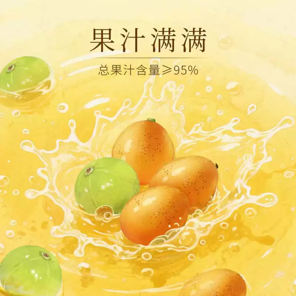 Drinksba Huangpi & Yougan Sparkling Fruit Juice Tea 260ml – Limited Import - Image 2