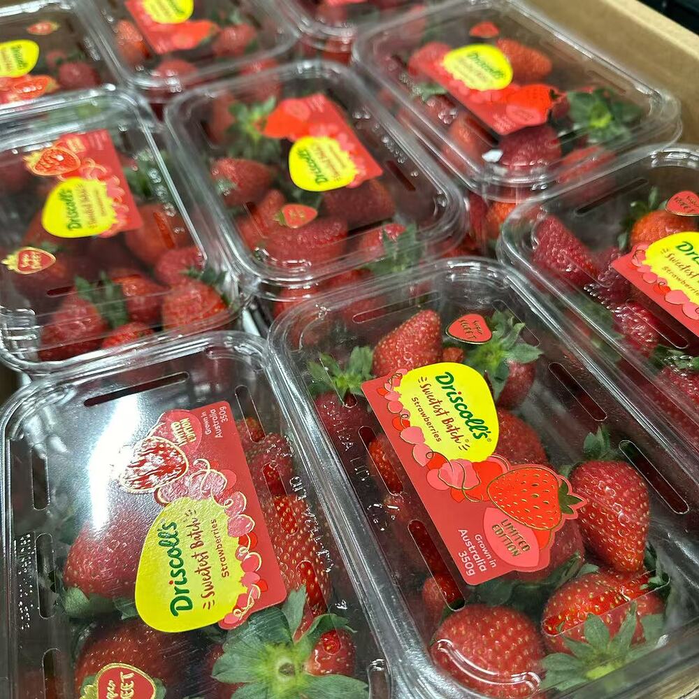 Driscoll's Australian Strawberries 350g Punnet - Image 2