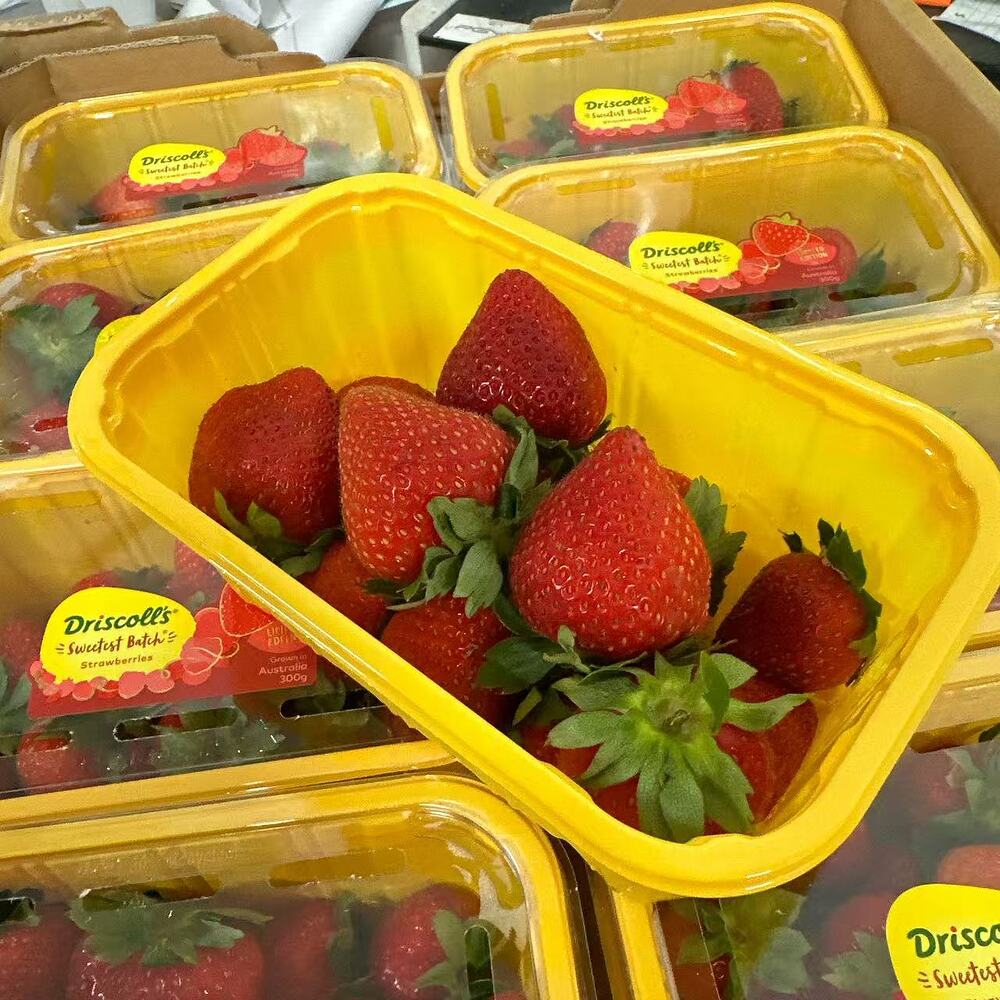 Driscoll's Sweetest Batch Strawberries 300g Punnet