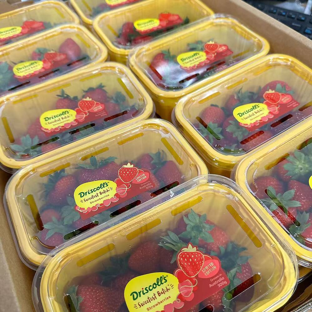 Driscoll's Sweetest Batch Strawberries 300g Punnet - Image 2