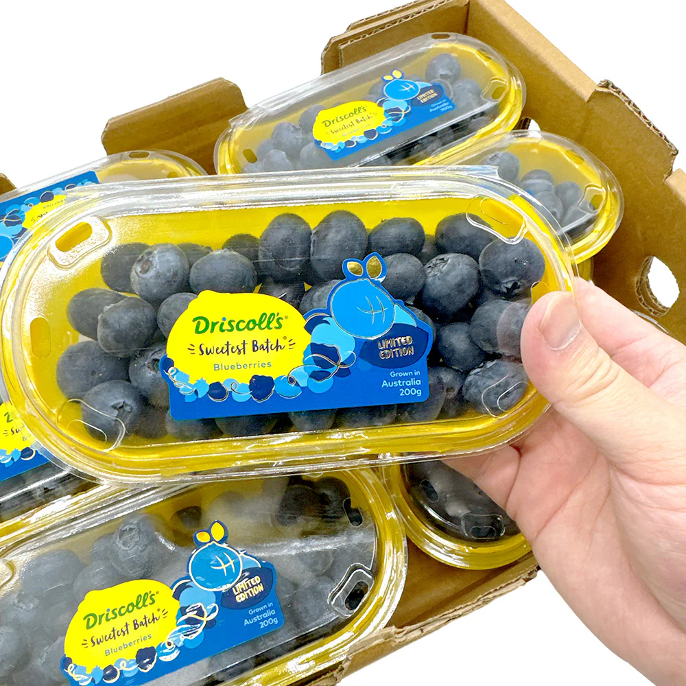 Driscoll's Blueberries - 200g - Image 3