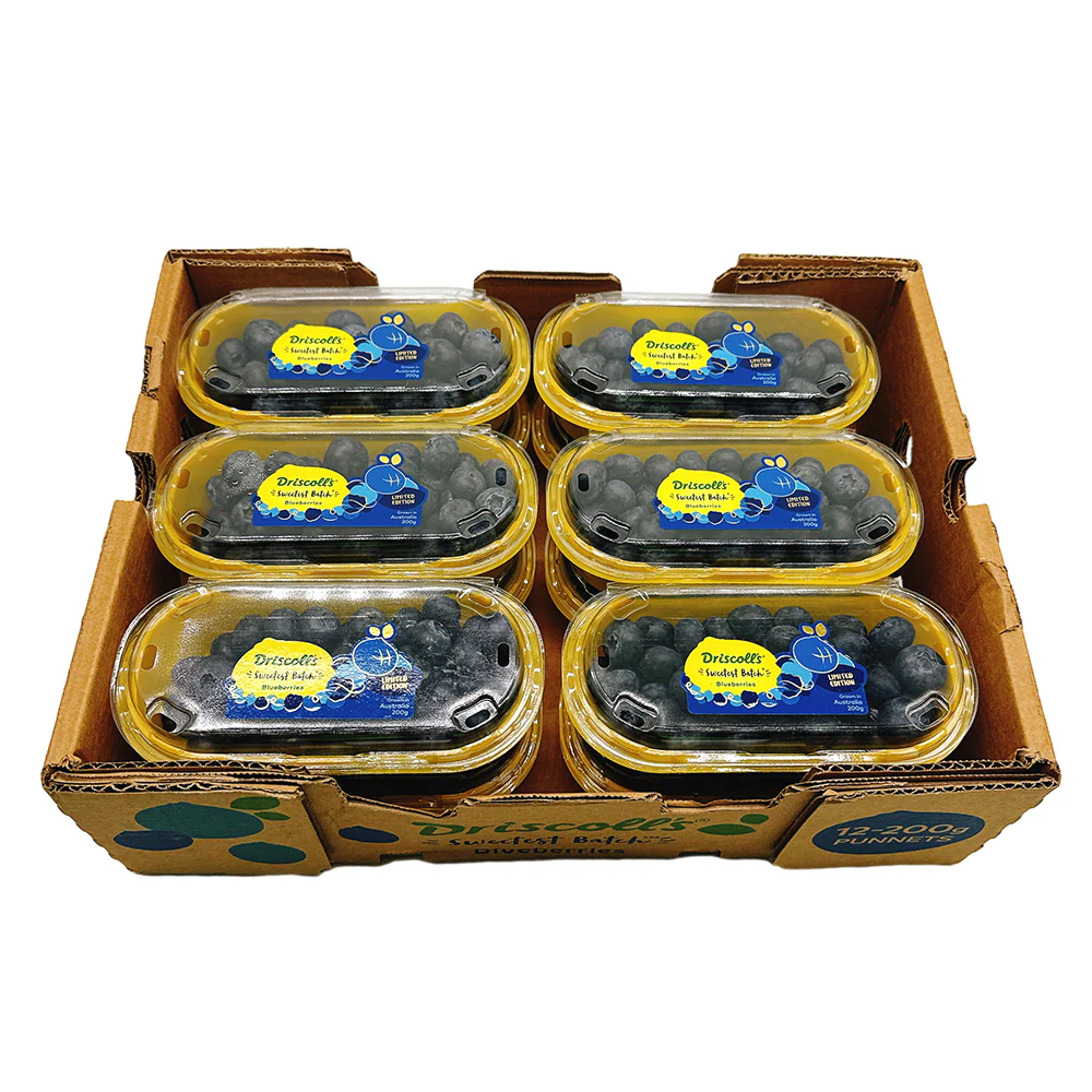Driscoll's Blueberries - Box of 12 Packs
