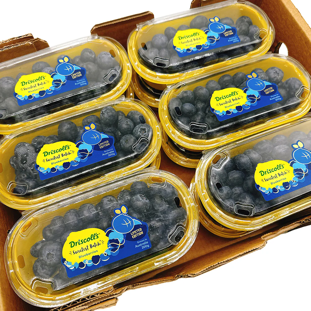 Driscoll's Blueberries - Box of 12 Packs - Image 2