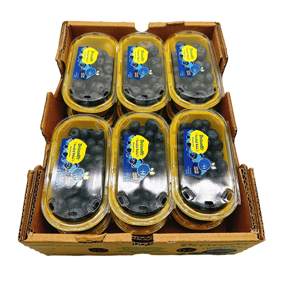 Driscoll's Blueberries - Box of 12 Packs - Image 3