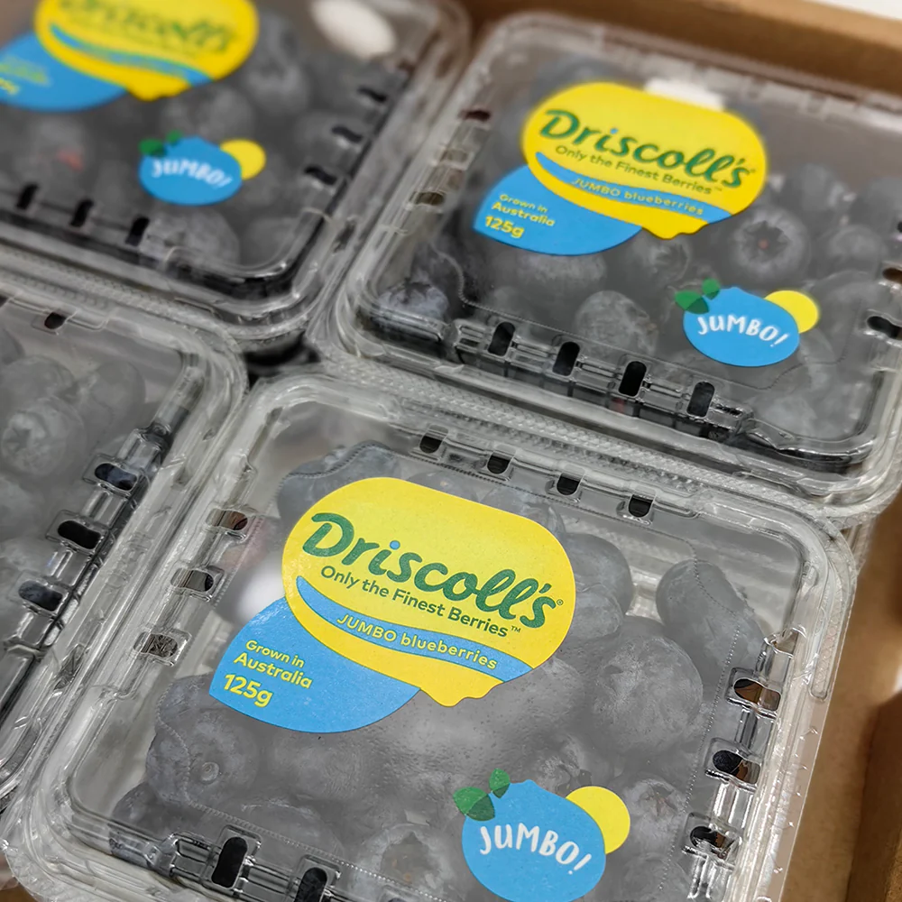 Driscoll's Jumbo Blueberries - 125g - Image 5