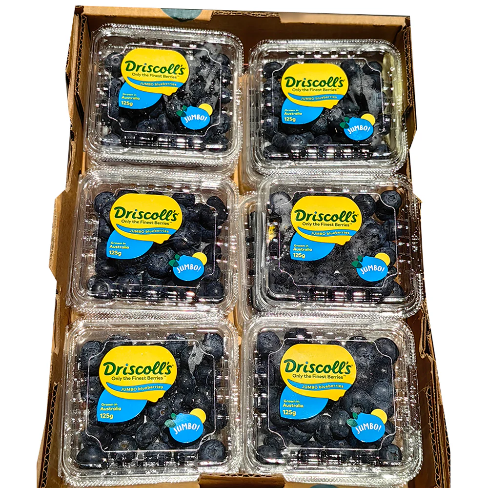 Driscoll's Jumbo Blueberries - Box of 12 Packs