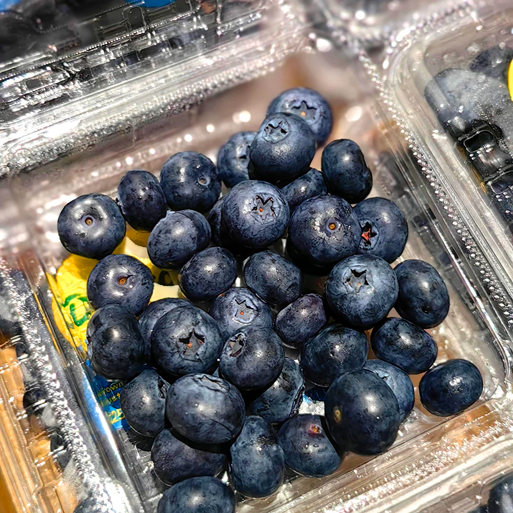 Driscoll's Jumbo Blueberries - Box of 12 Packs - Image 2