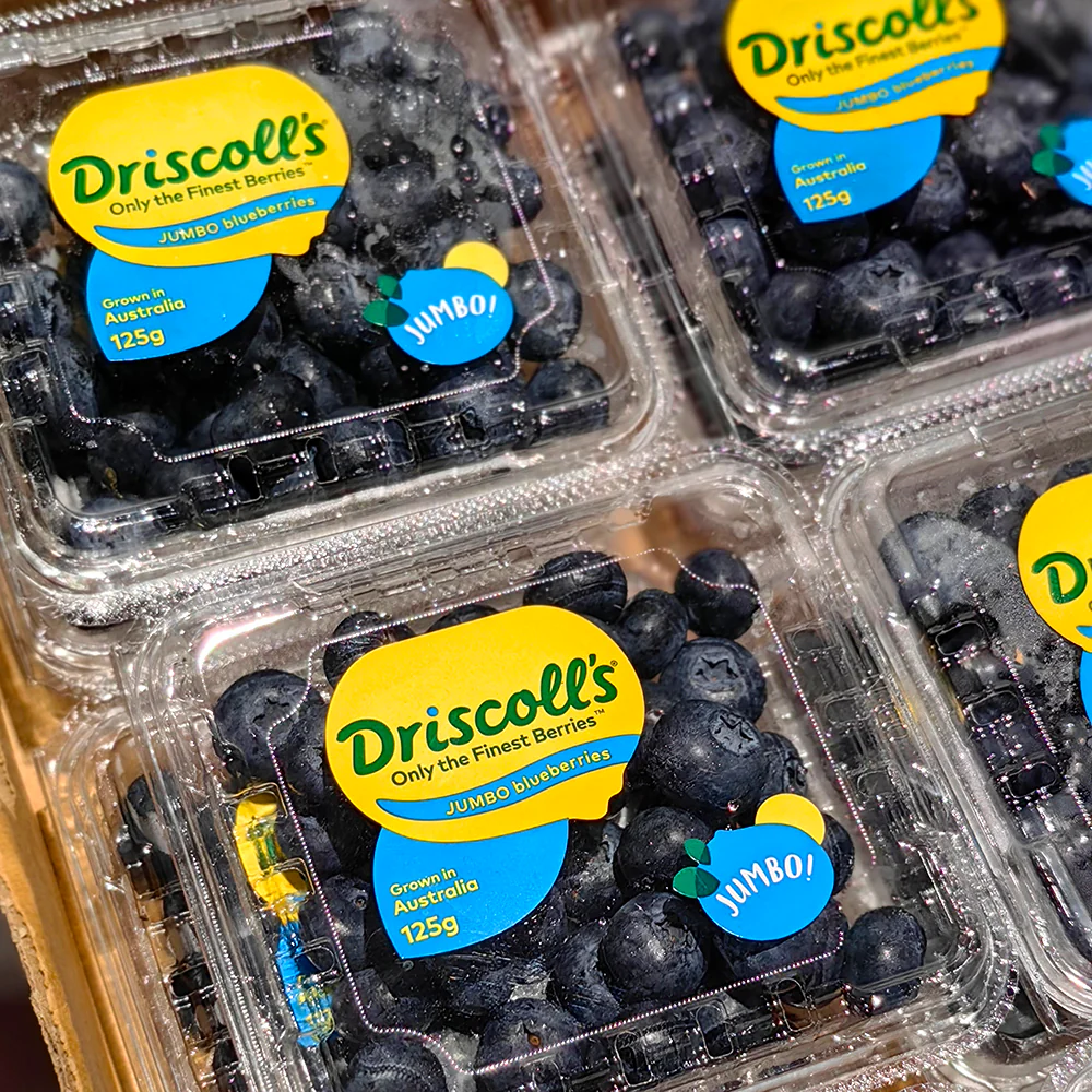 Driscoll's Jumbo Blueberries - Box of 12 Packs - Image 3
