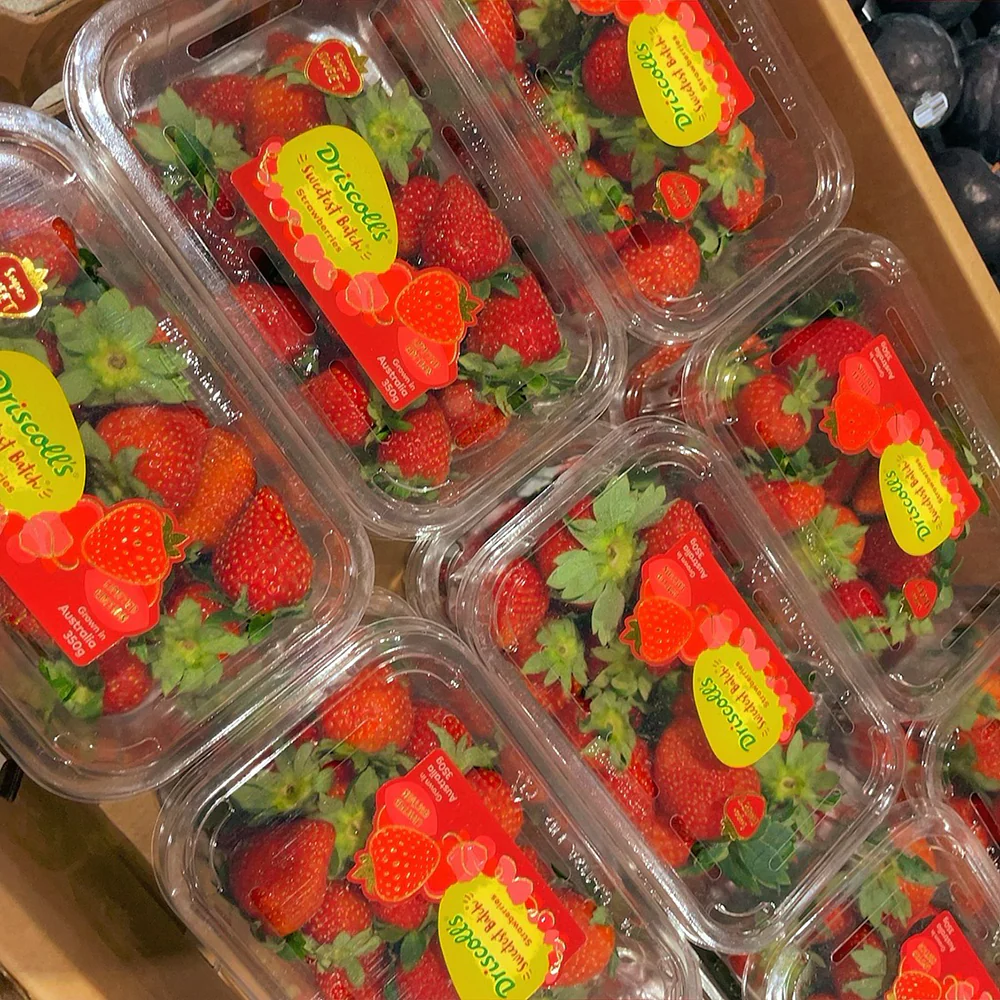 Driscoll's Sweetest Batch Strawberries - 350g - Image 3