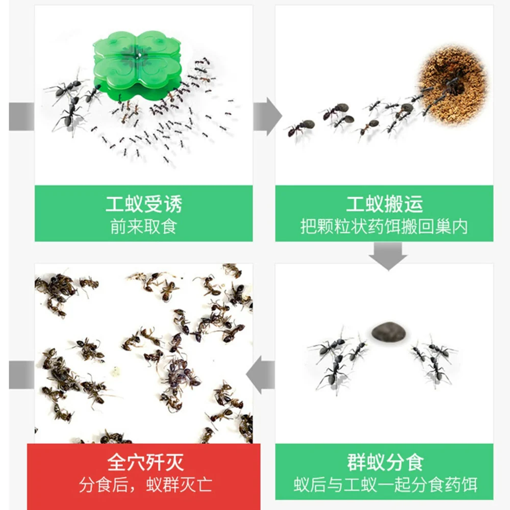 Earth Ari no Su Korori Hyper Ant Bait Stations (Indoor/Outdoor) – 12 Pack - Ant Killer Traps for Home & Garden - Image 2