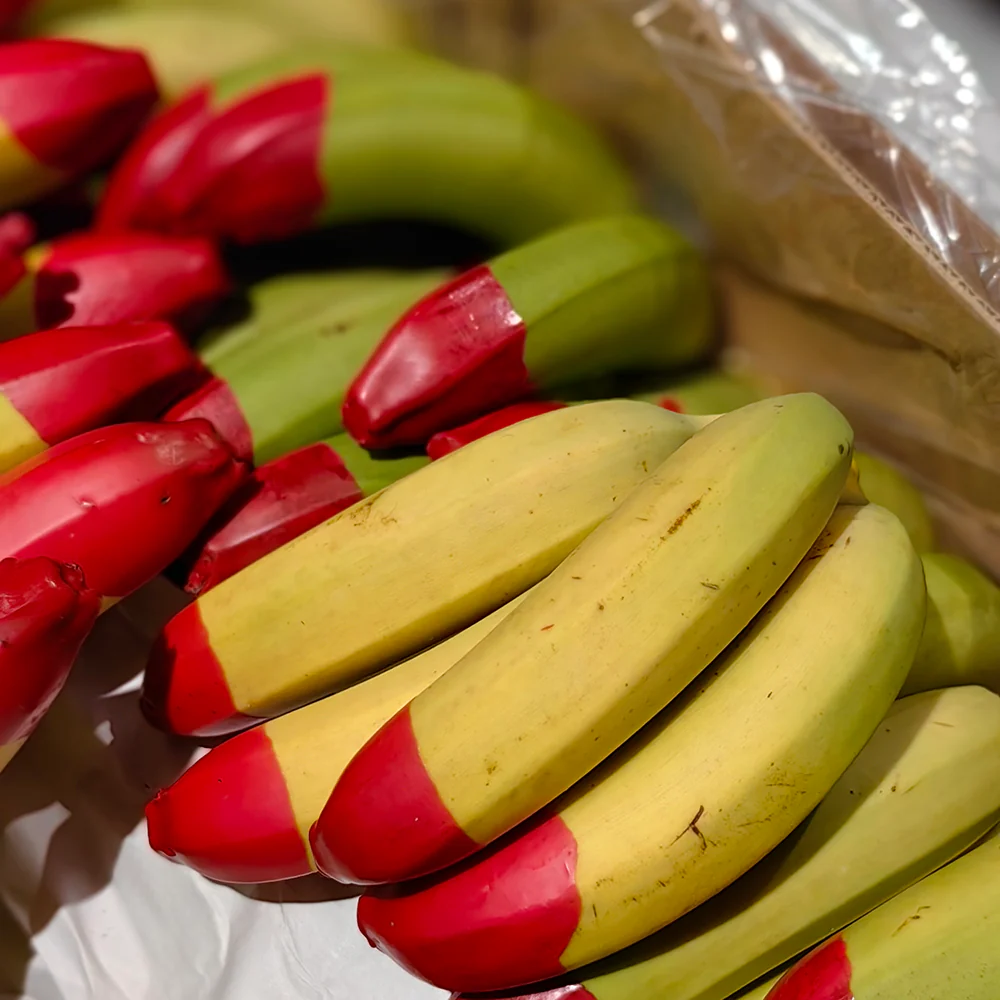 Ecoganic Organic Bananas - 1kg - Image 2