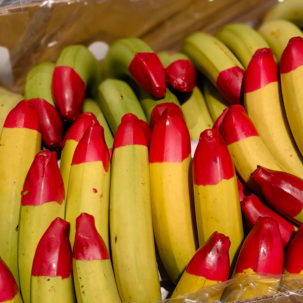 Ecoganic Organic Bananas - 1kg - Image 3
