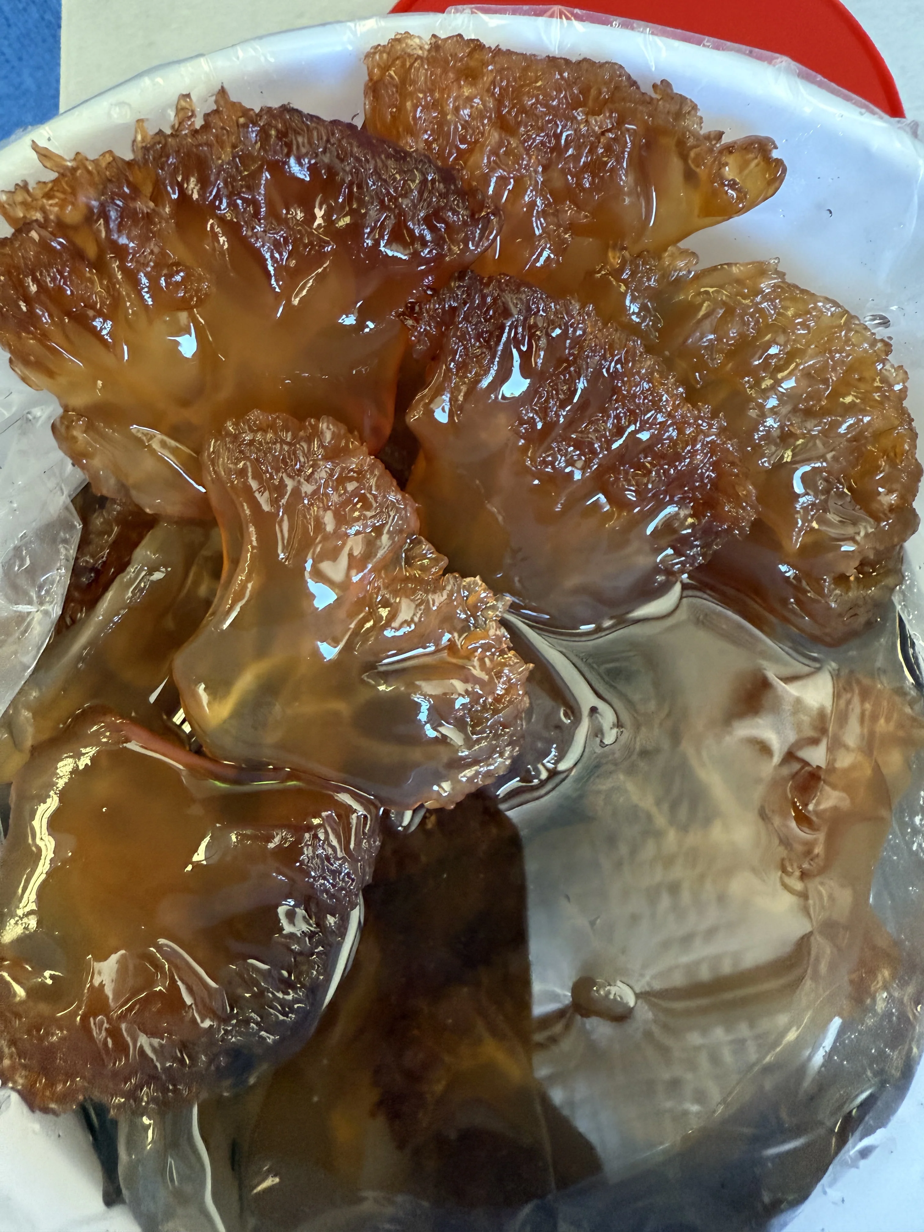 Emerald Salted Jellyfish Leaf - 1kg - Image 2