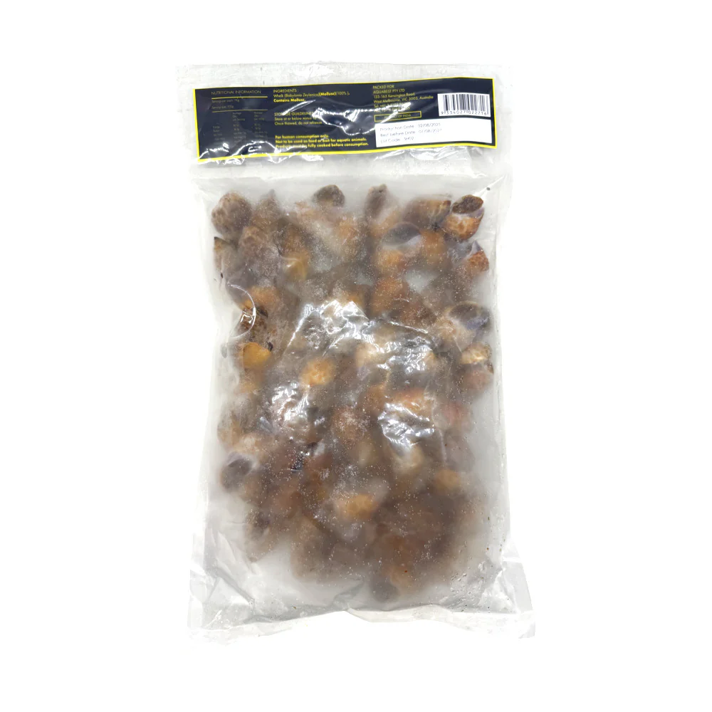 Emerald Whole Spotted Babylon Whelks (Frozen) 1kg - Image 2