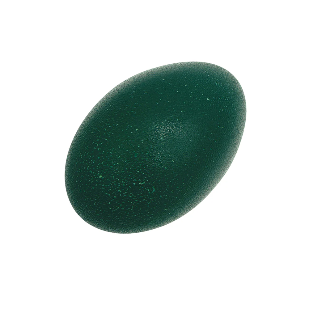 Emu Egg - 1 Piece, 490g - Image 5