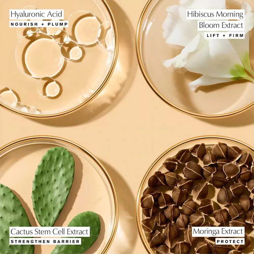 Estée Lauder Revitalizing Supreme+ Youth Power Creme 75ml - Image 2