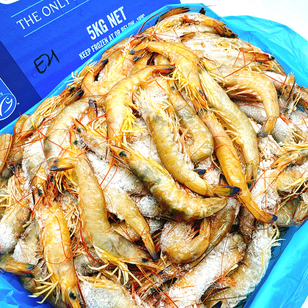 Exmouth Wild Caught Prawns U21/30 - 5kg - Image 4