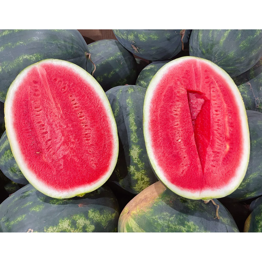Extra Large Super Sweet Watermelon - 1 Piece, 10kg+ - Image 3